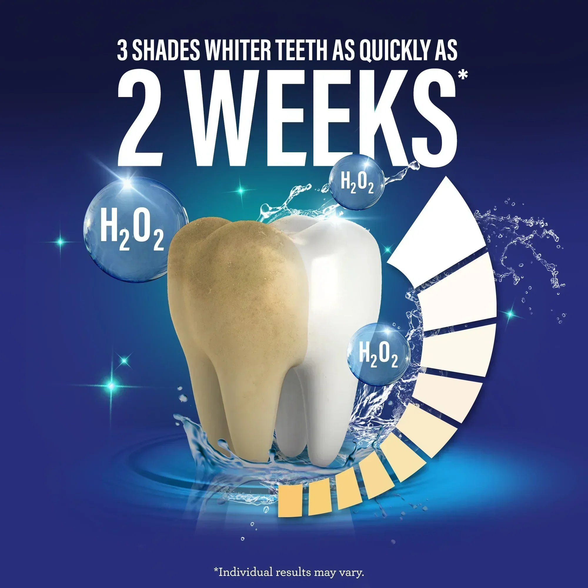 Thumbnail 28